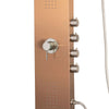 PULSE ShowerSpas Santa Cruz ShowerSpa 1033 Brushed Bronze Stainless Steel Shower Panel