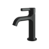 Aquabrass Single-Hole Lavatory Faucet - Black