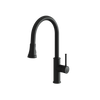 Aquabrass Margherita Pull-Down Dual Stream Mode Kitchen Faucet - Electro black