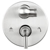 Outdoor Shower Co. Concealed Diverter - Satin CAP-00006S-DIV