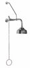 Outdoor Shower Co. WMPC-150-12 - 6" Stainless Steel Shower Head